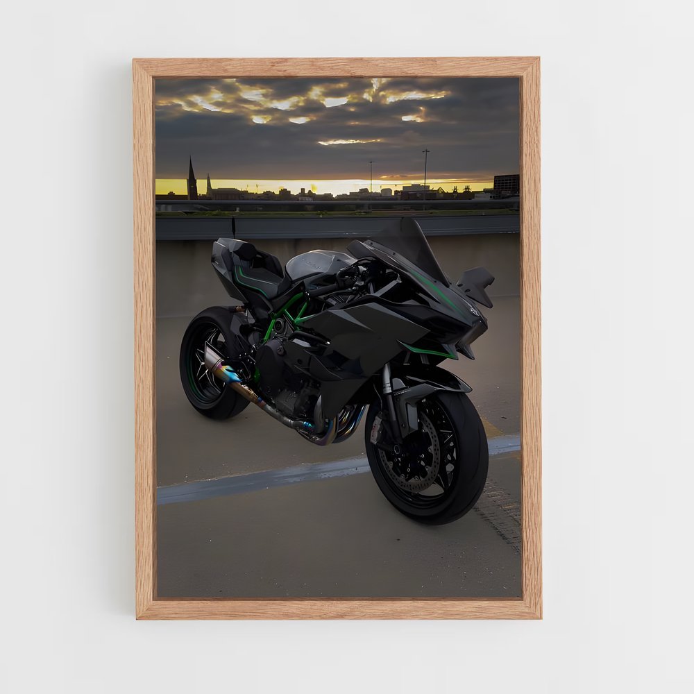 Poster Ninja h mystérieux (vue 4)